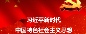 习近平新时期中国特色社会主义思想学习